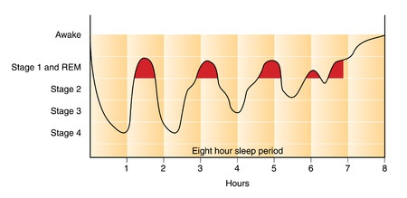 ciclos sueño