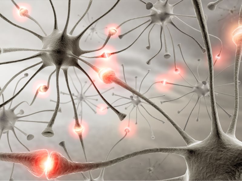Neurona, sinapsis, célula, científicos